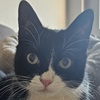 Felix Kater Anja